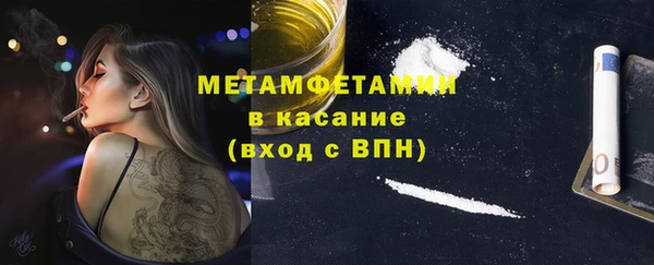 прущие грибы Ладушкин