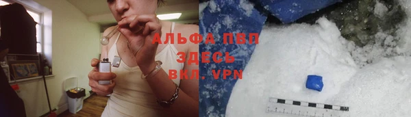 прущие грибы Ладушкин
