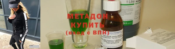 прущие грибы Ладушкин