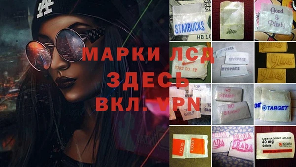 прущие грибы Ладушкин