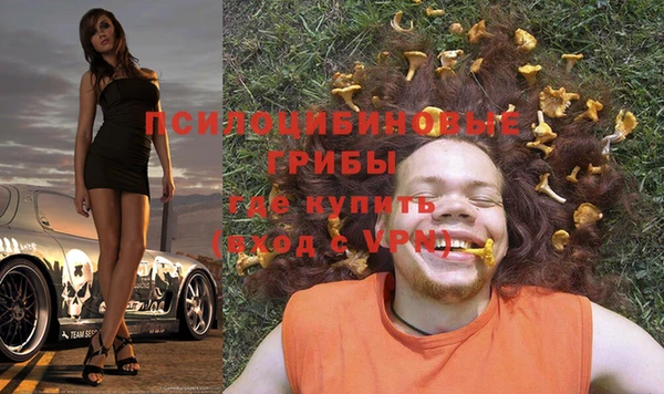 винт Куйбышев