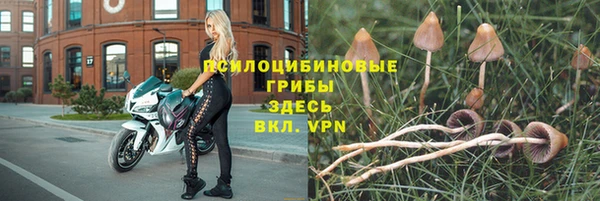 скорость Лагань