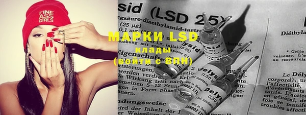 прущие грибы Ладушкин