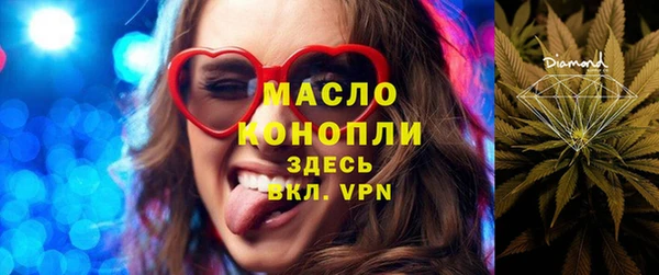 молекула духа Лабытнанги