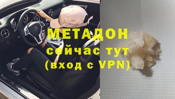 прущие грибы Ладушкин