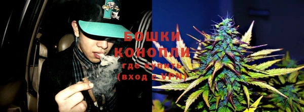 молекула духа Лабытнанги