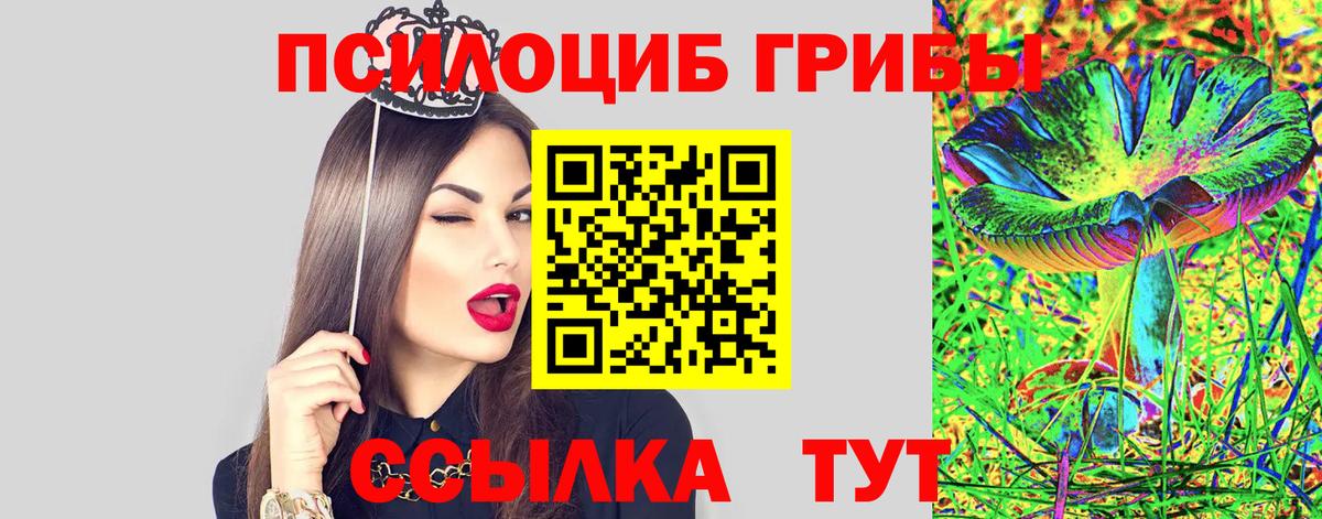 Галлюциногенные грибы GOLDEN TEACHER Малгобек