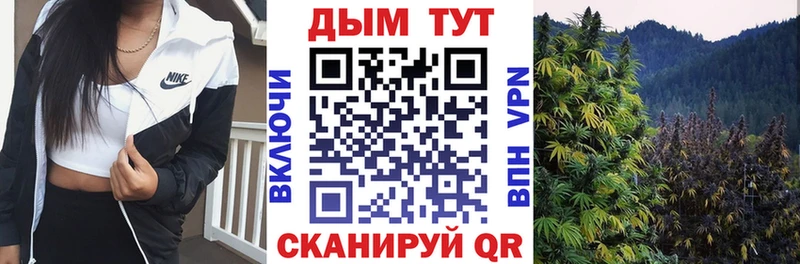 цена наркотик  Малгобек  Бошки Шишки Bruce Banner 